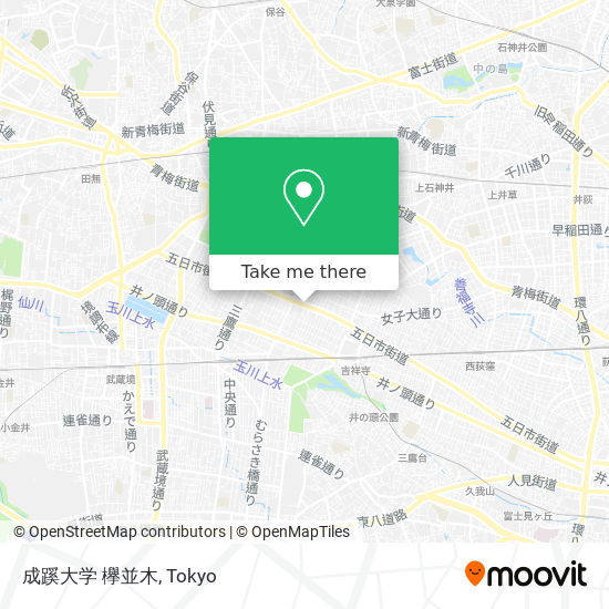 成蹊大学 欅並木 map