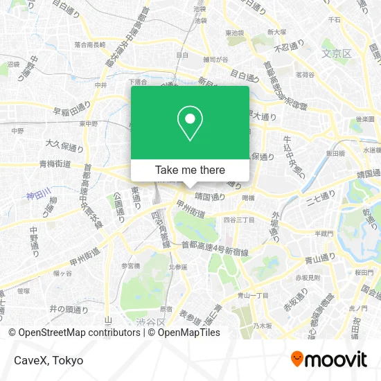 CaveX map