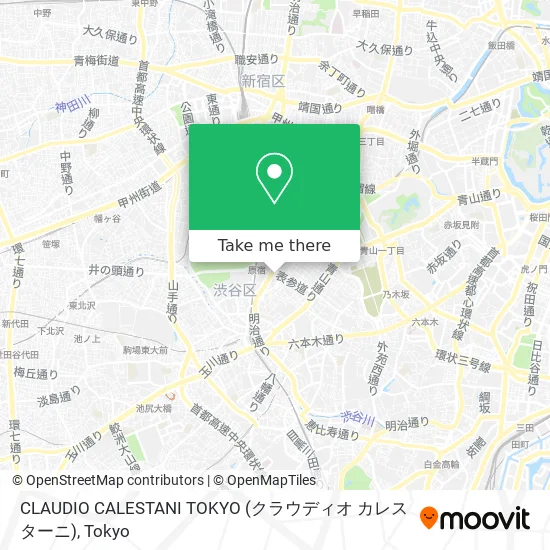Claudio Calestani Tokyo map