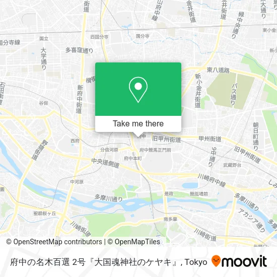 府中の名木百選 2号『大国魂神社のケヤキ』 map