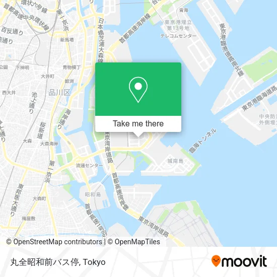 丸全昭和前バス停 map