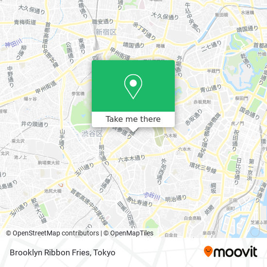 Brooklyn Ribbon Fries map
