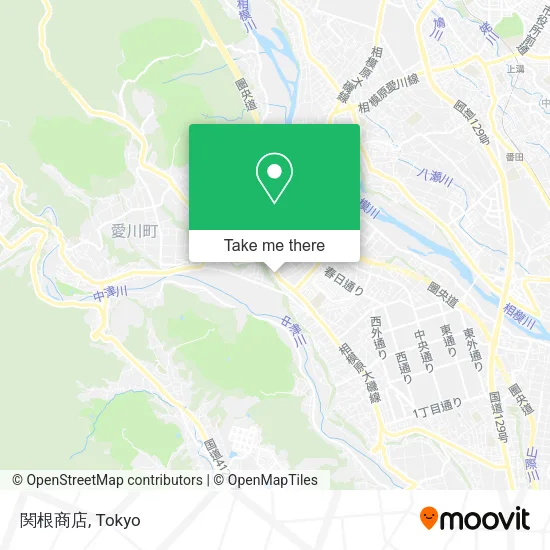 関根商店 map