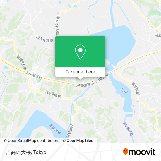 Yoshitaka's Great Cherry Blossom Tree map