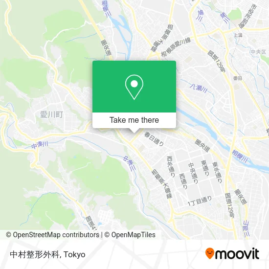 中村整形外科 map