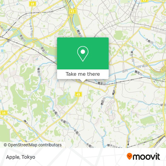 Apple map