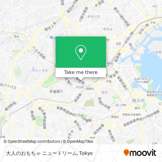 大人のおもちゃ ニュードリーム map