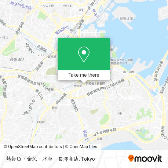 熱帯魚・金魚・水草　長澤商店 map