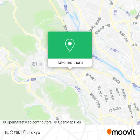 睦台精肉店 map