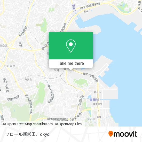 Fleur Shin-Sugita map