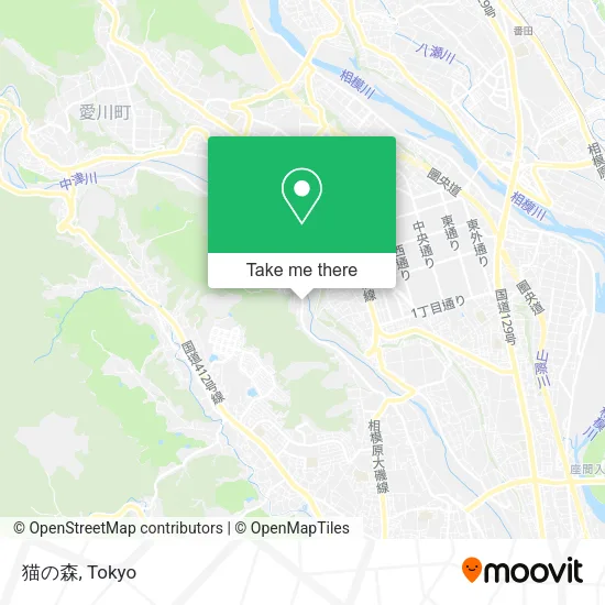 猫の森 map