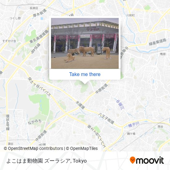 よこはま動物園 ズーラシア map