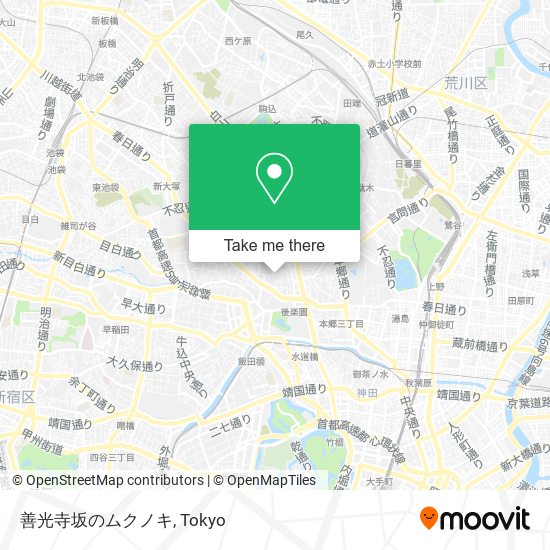 善光寺坂のムクノキ map