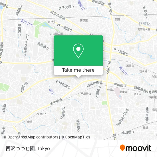 西沢つつじ園 map