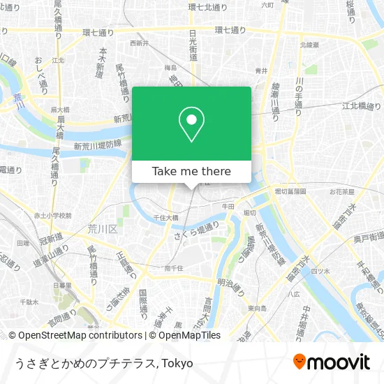 Rabbit and Turtle Petit Terrace map