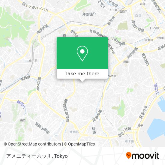 アメニティー六ッ川 map