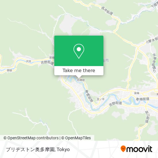 ブリヂストン奥多摩園 map