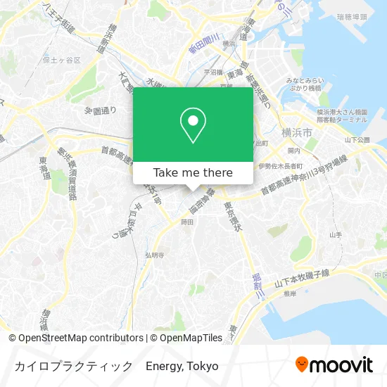 カイロプラクティック　Energy map