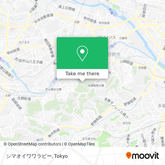 シマオイワワラビー map