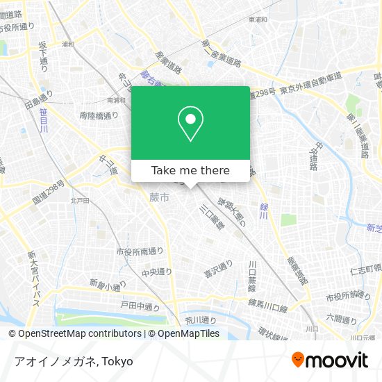 アオイノメガネ map