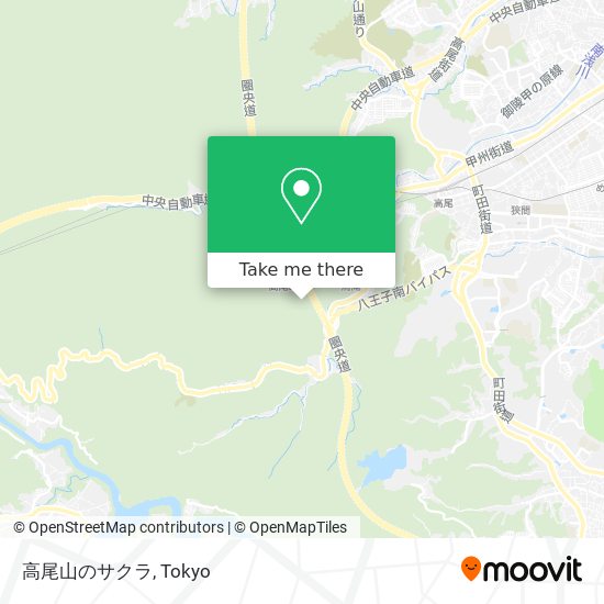 高尾山のサクラ map