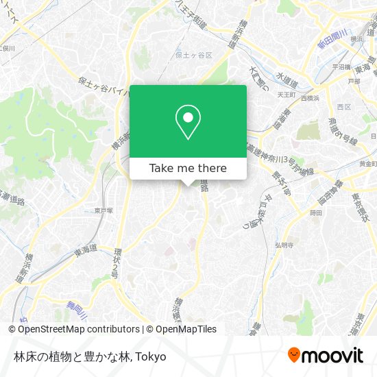 林床の植物と豊かな林 map