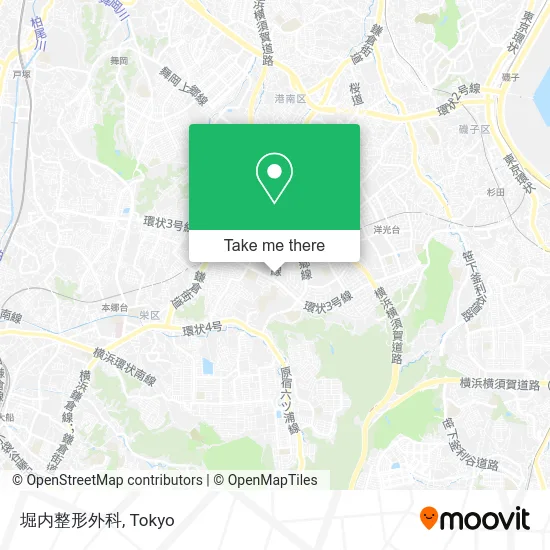 Horiuchi Orthopedic Clinic map