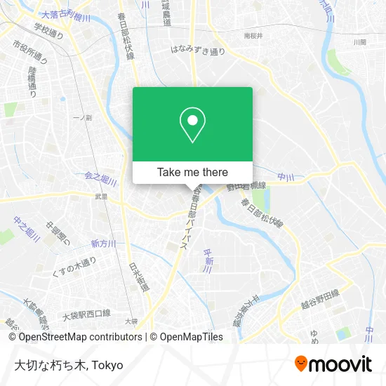 大切な朽ち木 map