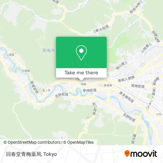 Kaishindo Ome Pharmacy map