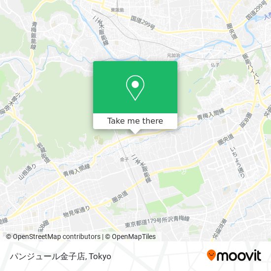 パンジュール金子店 map
