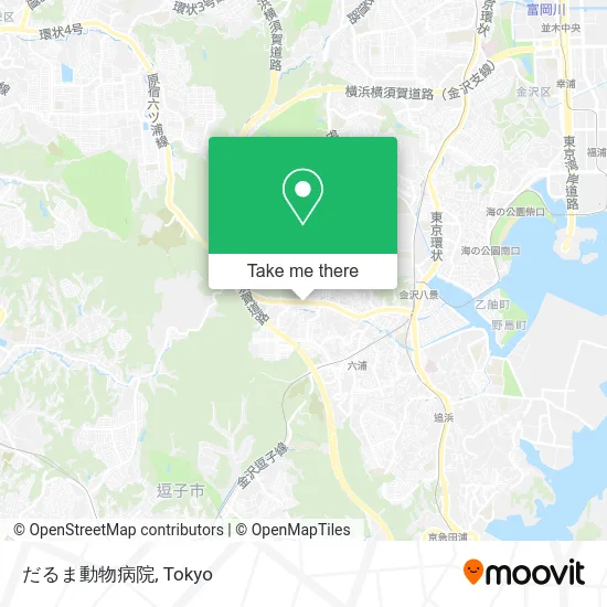 だるま動物病院 map