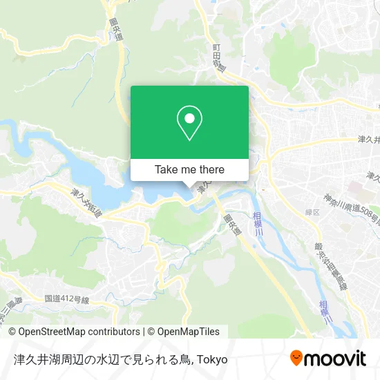 津久井湖周辺の水辺で見られる鳥 map