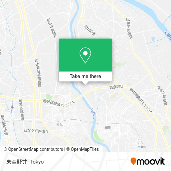 東金野井 map