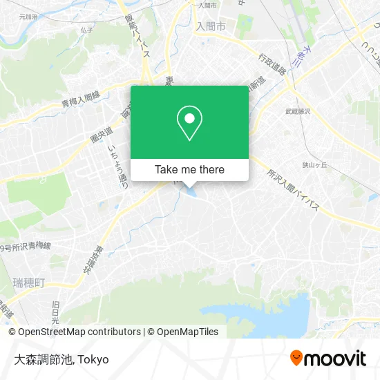 Omori Adjustment Pond map