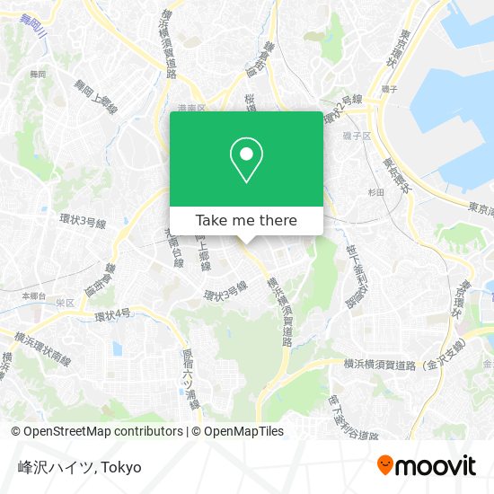 峰沢ハイツ map