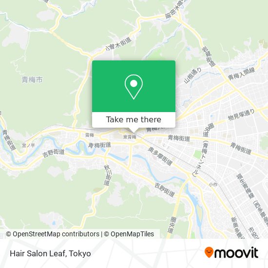 Hair Salon Leaf map