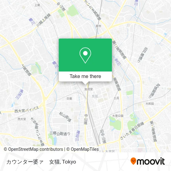 カウンター婆ァ　女猫 map