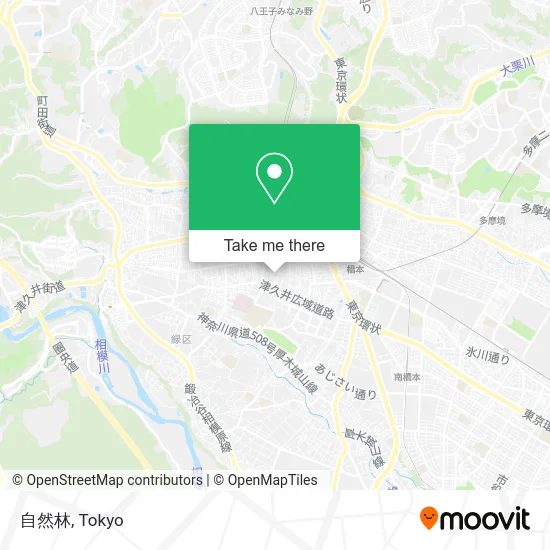 自然林 map