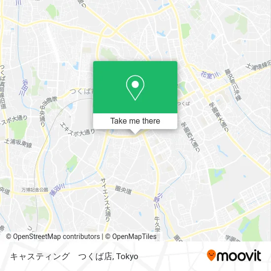 キャスティング　つくば店 map