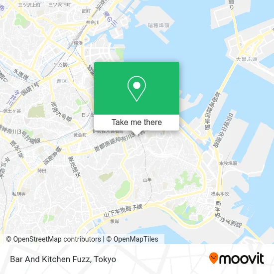 Bar And Kitchen Fuzz map