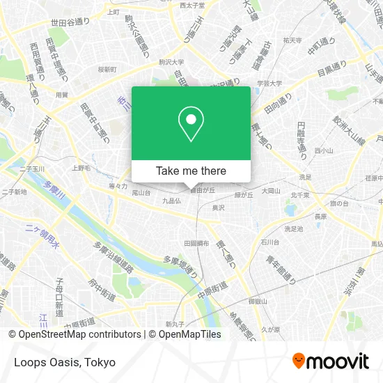 Loops Oasis map