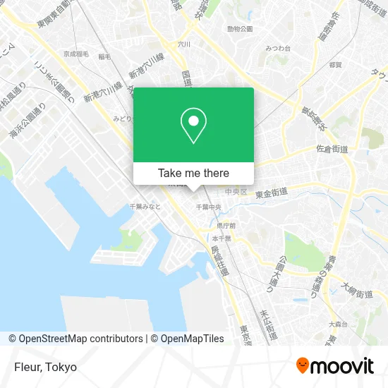 Fleur map