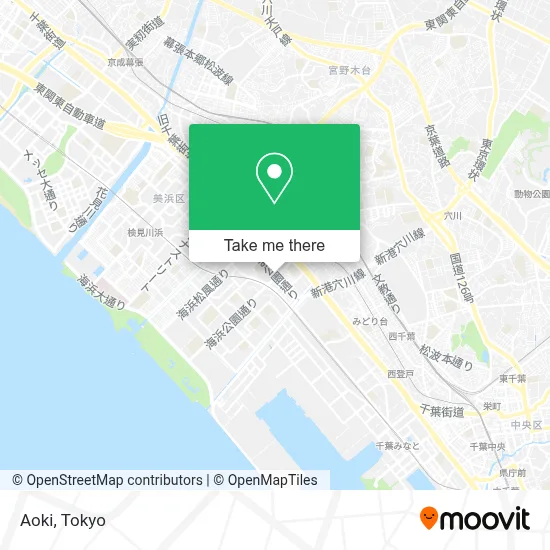 Aoki map