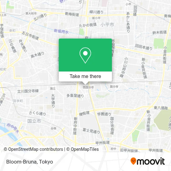 Bloom-Bruna map