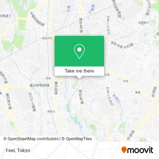 Feel map
