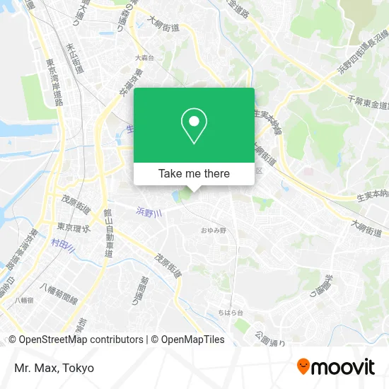 Mr. Max map