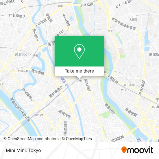 Mini Mini map