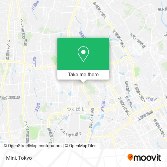Mini map