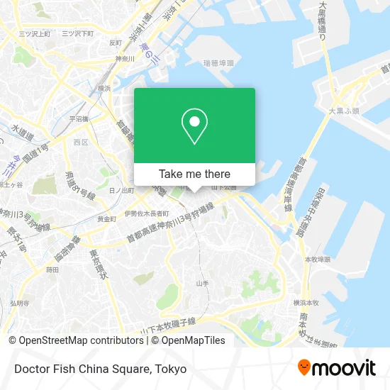 Doctor Fish China Square map