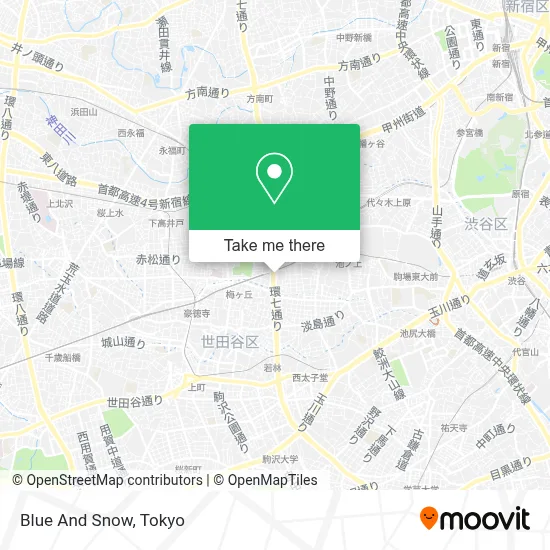 Blue And Snow map